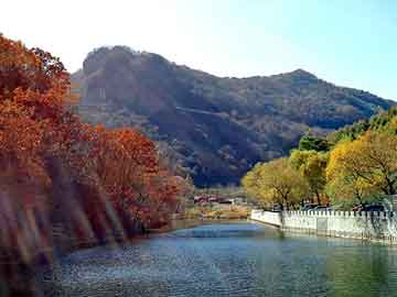 澳门二四六天天彩图库，黑道刀神